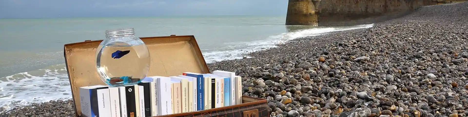 Koffer Met Boeken